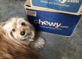 Dog and Chewy box