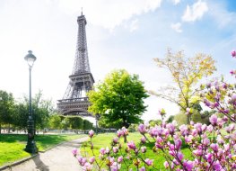 View of the Eiffel Tower in Paris from a park pathway