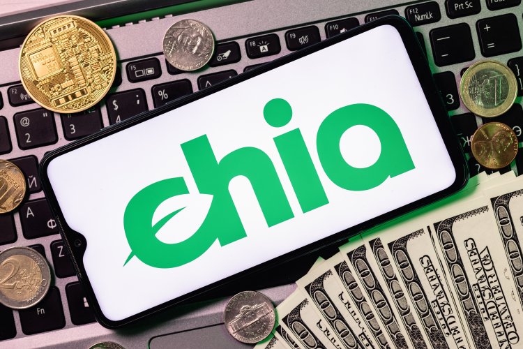 chia coin investing