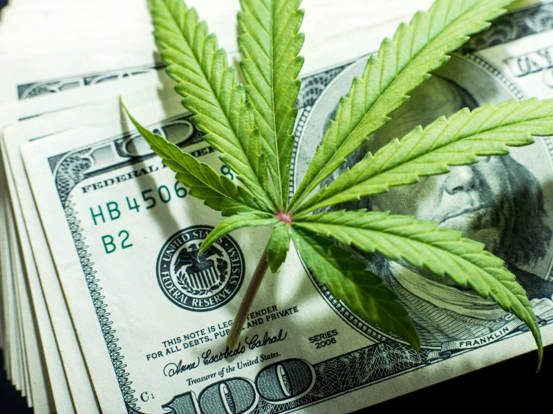 Best marijuana stocks to watch and invest in spring 2020